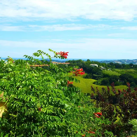 Bed & Breakfast Casa Ezelina