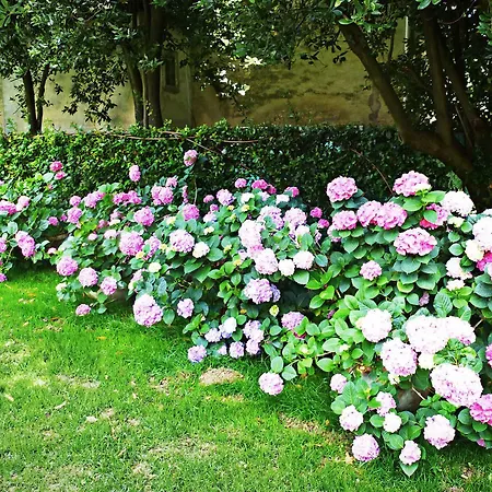Casa Ezelina Bed & Breakfast